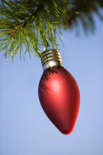 Ornament op boom. — Stockfoto