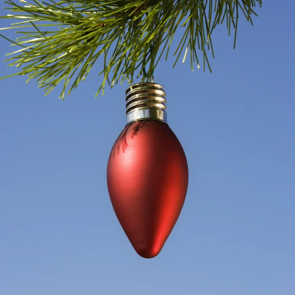 Ornament på träd. — Stockfoto