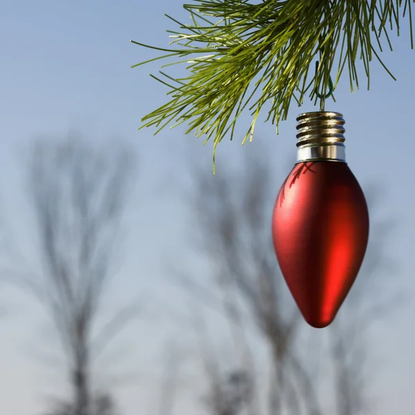 Ornament am Baum. — Stockfoto
