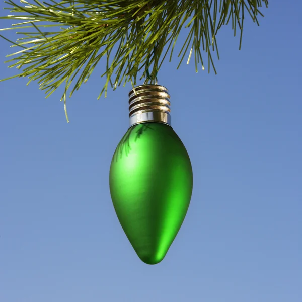 Ornament na stromě. — Stock fotografie