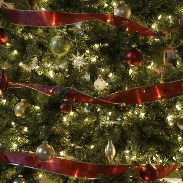 Weihnachtsbaum. — Stockfoto