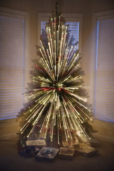 Noel ağacı. — Stok fotoğraf