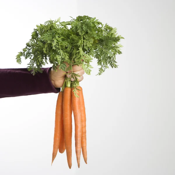 Bunch of carrots. — Stock Photo, Image
