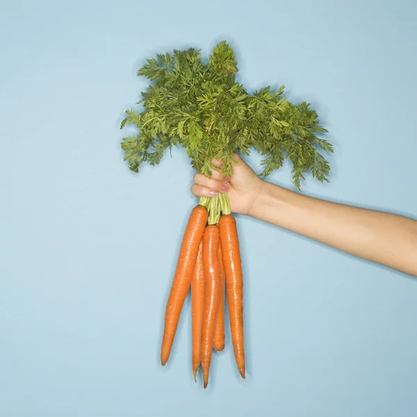 Ramo de zanahorias . — Foto de Stock