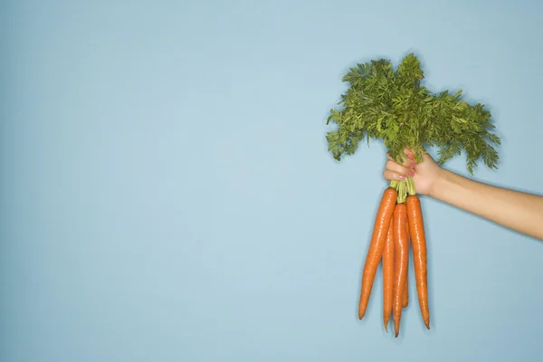 Ramo de zanahorias . —  Fotos de Stock