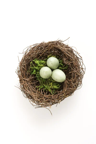 Яйца в гнезде . — стоковое фото
