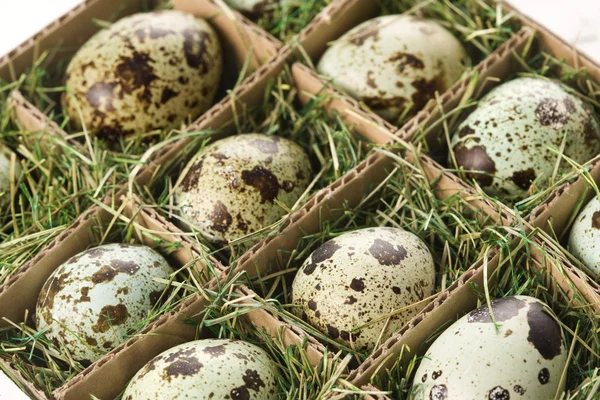 Spräckliga äggen. — Stockfoto