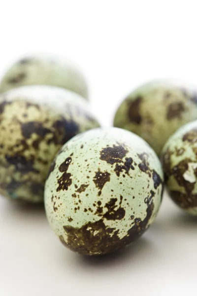 Skvrnitá vejce. — Stock fotografie