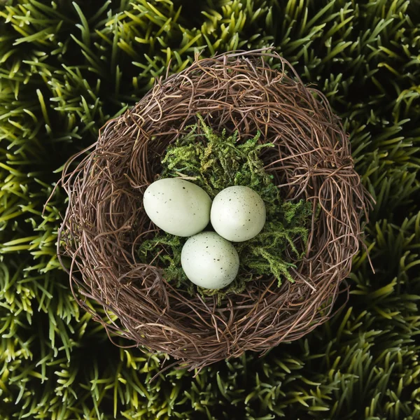Yuvadaki yumurtalar. — Stok fotoğraf