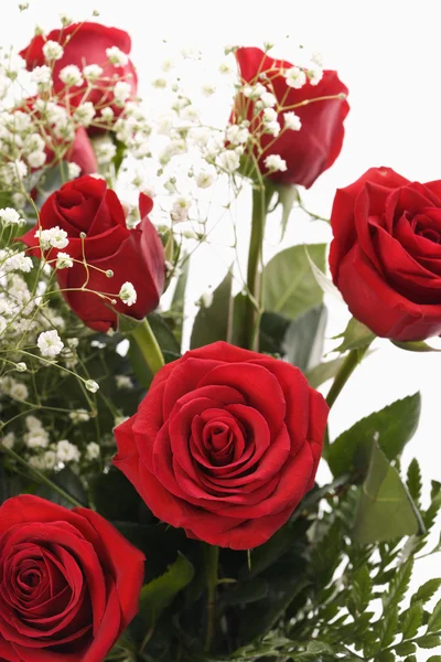 Μπουκέτο με κόκκινα τριαντάφυλλα. — Φωτογραφία Αρχείου