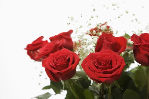 Bouquet di rose rosse. — Foto Stock