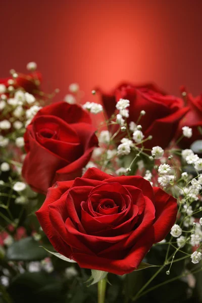 Buquê de rosas vermelhas. — Fotografia de Stock