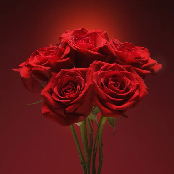 stock image Bouquet of red roses.