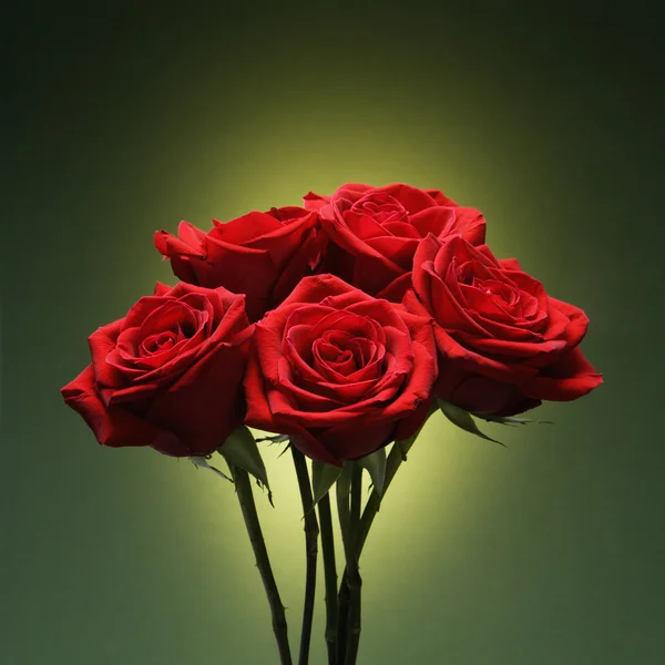 赤いバラの花束。. — ストック写真