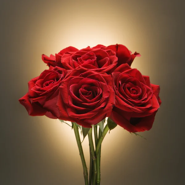 Μπουκέτο με κόκκινα τριαντάφυλλα. — Φωτογραφία Αρχείου