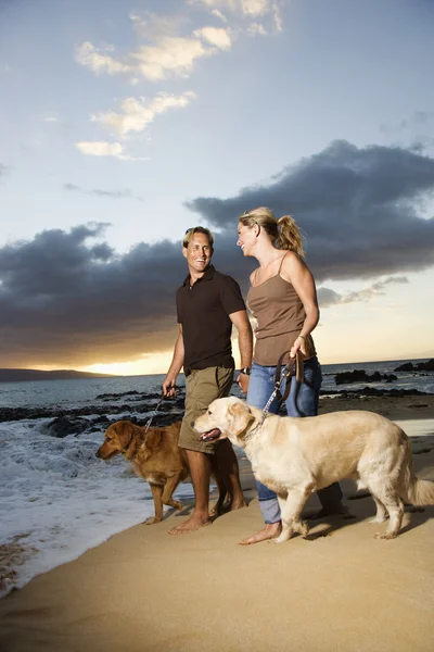 カップル、ビーチで犬を散歩 — ストック写真