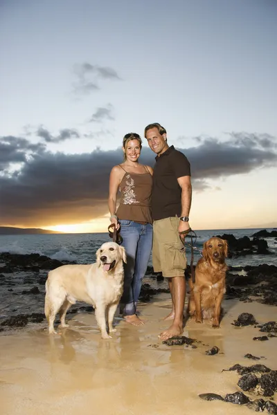 Couple souriant avec des chiens à la plage — Photo