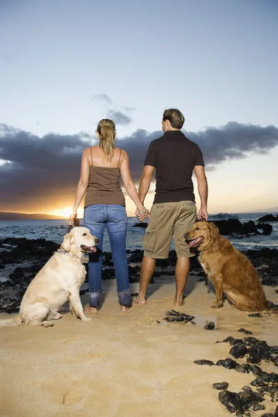 Par hålla händer och promenerar hundar på stranden — Stockfoto