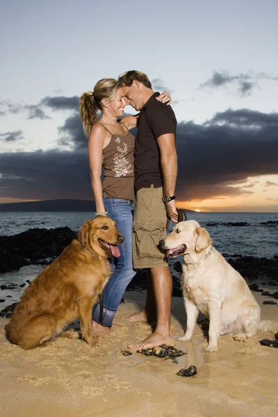 Tillgiven par med hundar på stranden — Stockfoto