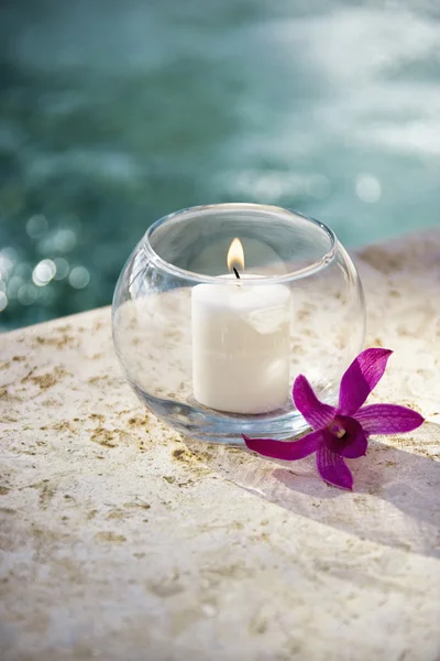 Vela e orquídea . — Fotografia de Stock