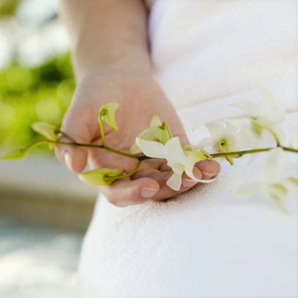 Hand holding orchids. — Stock Photo, Image