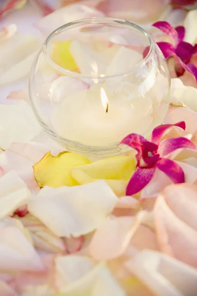 Lit candle with flowers. — Stock Photo, Image