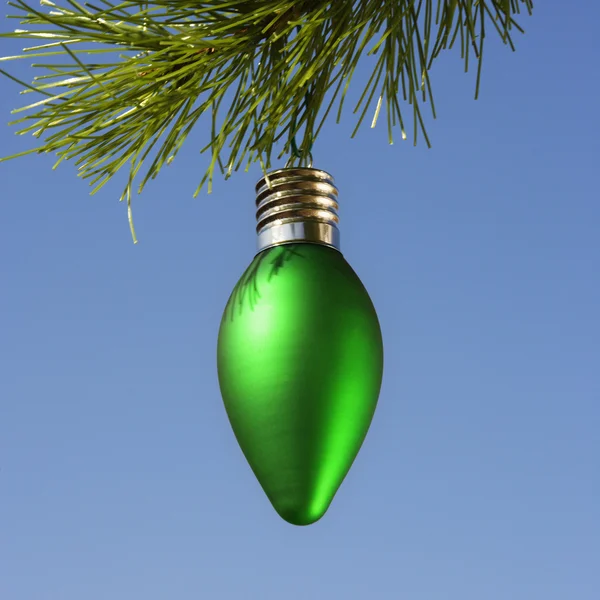 Ornament on tree. — Stock Photo, Image