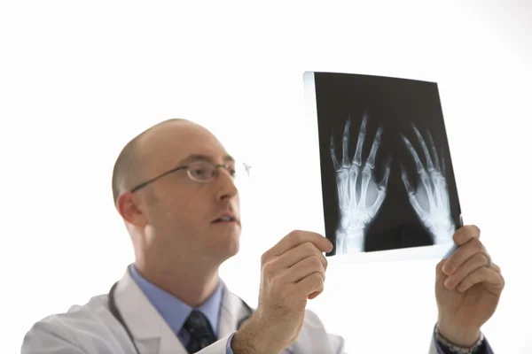 Doctor looking at xrays. Royalty Free Stock Images