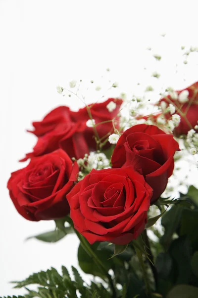 Μπουκέτο με κόκκινα τριαντάφυλλα. Royalty Free Εικόνες Αρχείου