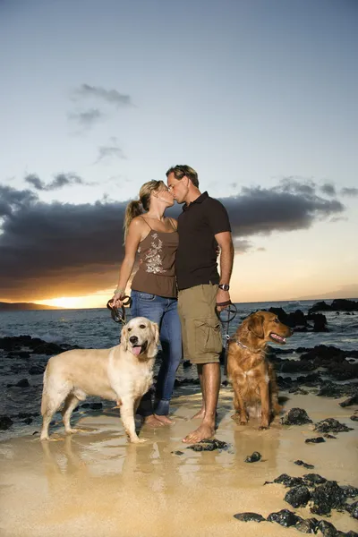 Kissing Couple With Dogs at the Beach Stock Photo