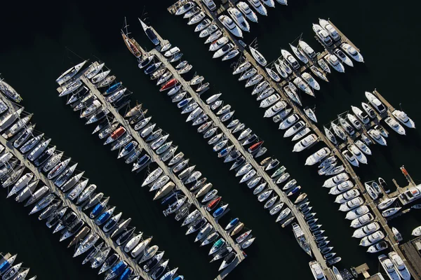 Flyg sydney Marina — Stockfoto