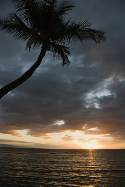 Захід сонця у Мауї . — стокове фото
