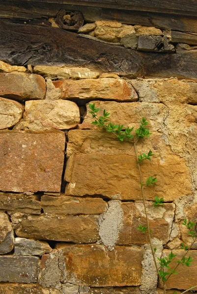 Altes Haus Steinmauer, Detail — Stockfoto