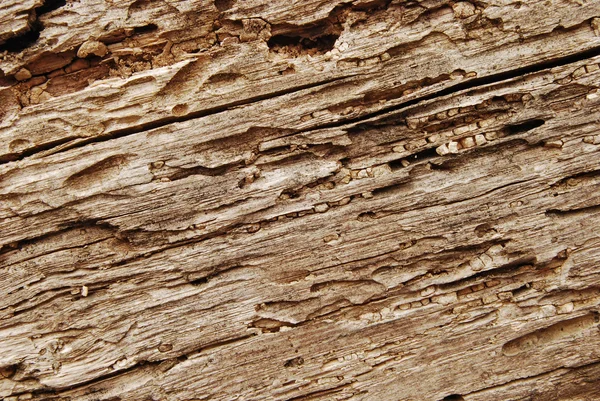 Velho feixe de madeira close-up — Fotografia de Stock
