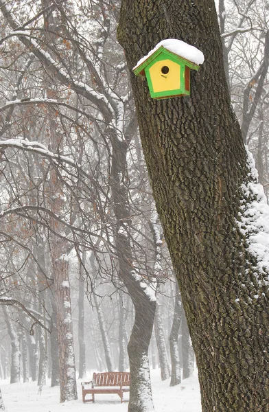 Birdhouse e panchina in inverno — Foto Stock