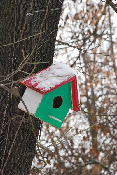 Casa de pássaro verde vermelho — Fotografia de Stock
