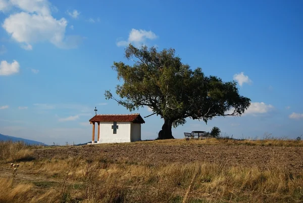 Kaple, kříže a strom — Stock fotografie