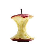 Apple stalk - Free Stock Image