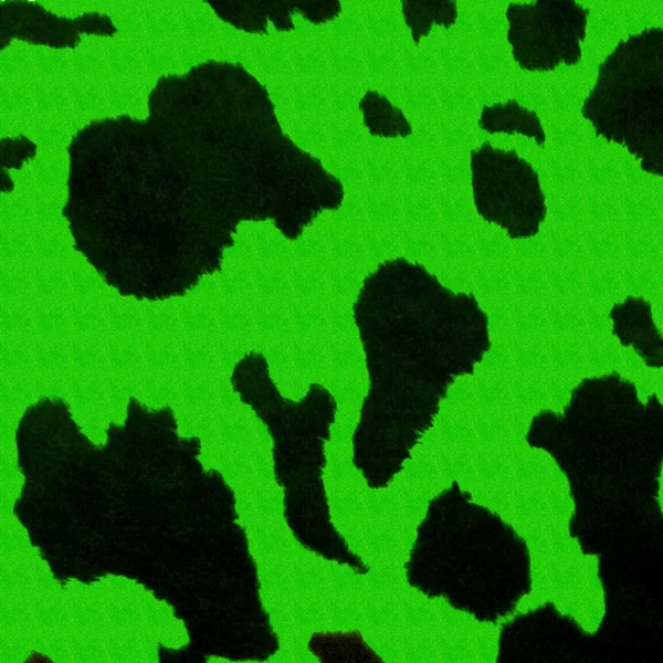 Kireç yeşil parıltı inek deseni — Stok fotoğraf