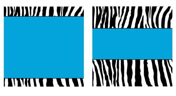 Conjunto de papel Zebra azul — Fotografia de Stock