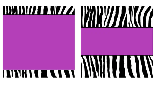 Conjunto de papel Zebra roxo — Fotografia de Stock