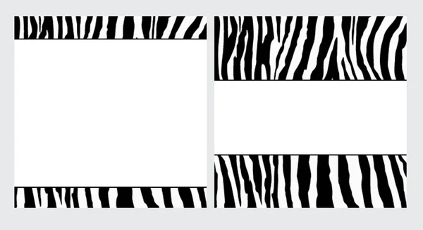 Zebra papier set Stockfoto