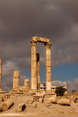 Antik pillars Herkül