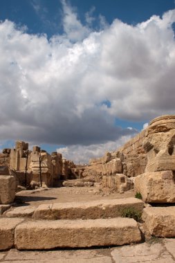 Antik jerash. gera Greko-Romen şehir Ürdün, kalıntıları