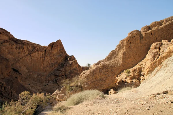 Montagne del deserto roccioso di Tozeur — Foto Stock