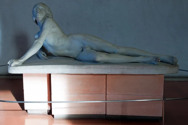 Estátua do Museu dos Frescos de Verona — Fotografia de Stock