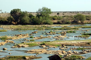 Tsavo Nehri