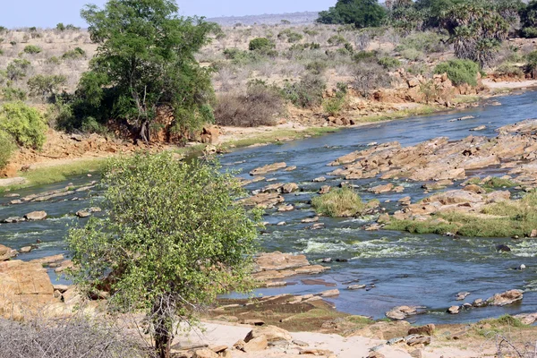 Tsavo řeka — Stock fotografie
