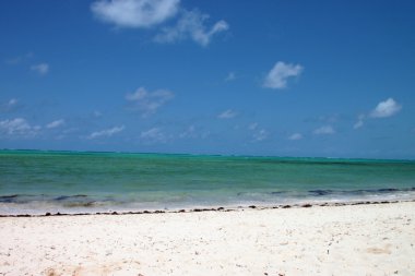 View of the beach of Watamu clipart