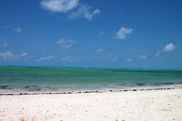 Pohled na pláž watamu — Stock fotografie